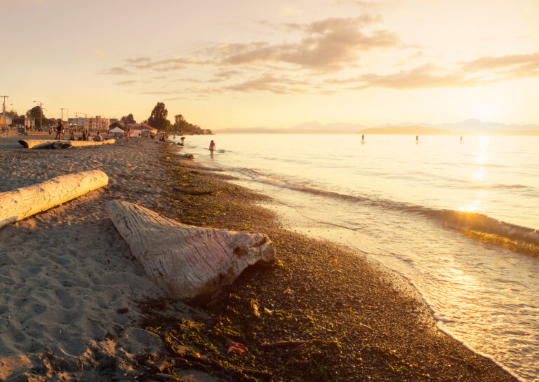 Alki Beach with Driftwood
