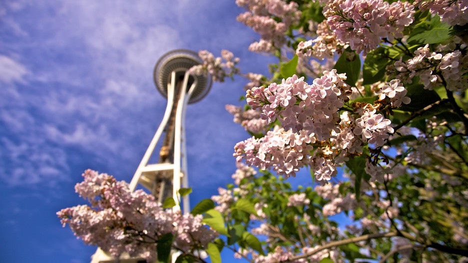 7 Reasons to Visit Seattle This Spring | Visit Seattle