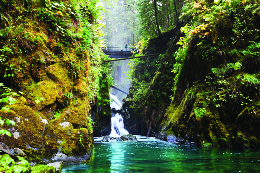 National Parks in Seattle