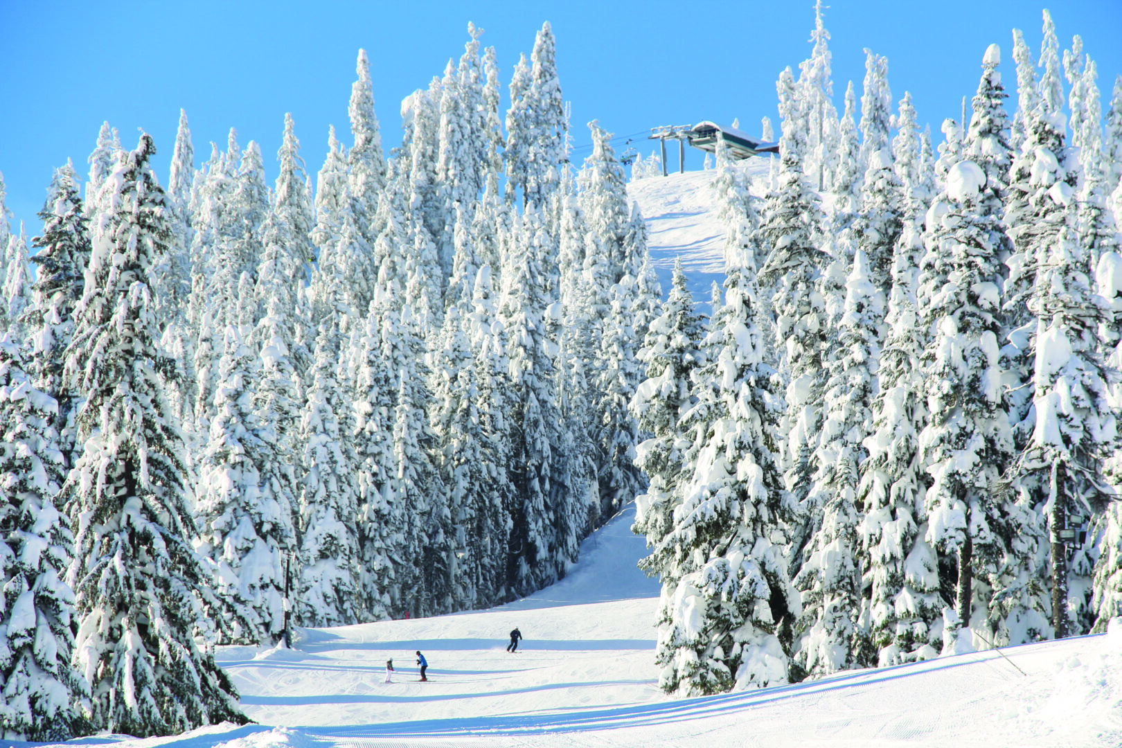 Snow Pass Visit Seattle