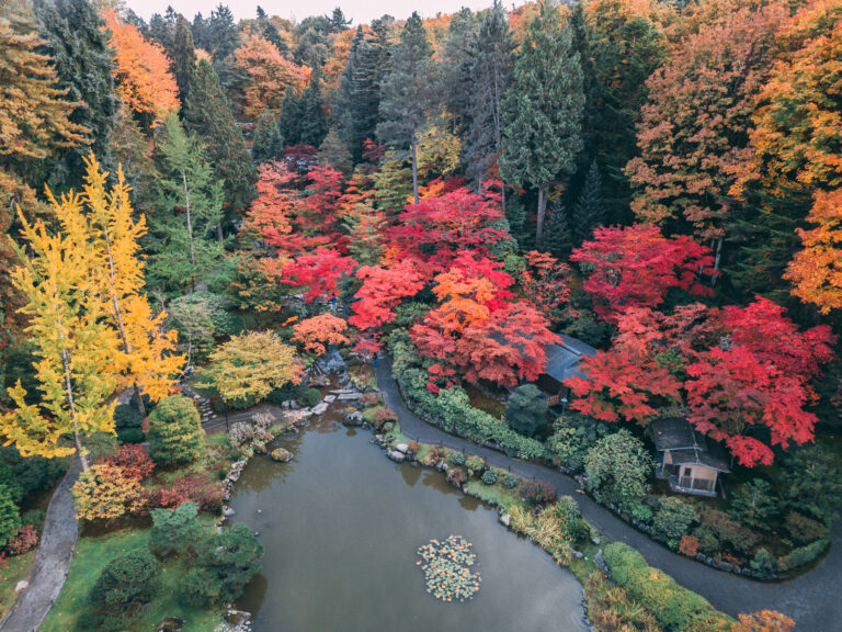 5 Reasons to Visit Seattle in the Fall - Visit Seattle
