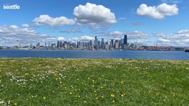 Downloadable Seattle backgrounds for Zoom - Visit Seattle