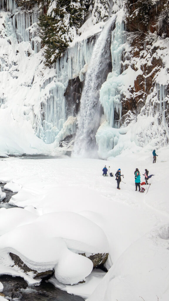 Winter Walks Visit Seattle