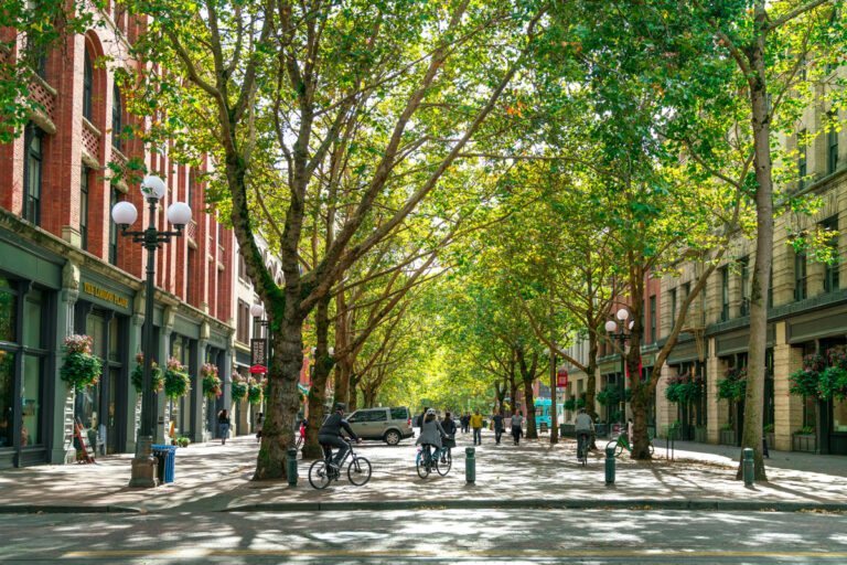 A tree-lined street in an urban setting with people walking and cycling. Sunlight filters through the branches, casting dappled light on the pavement. Brick buildings with storefronts line the street, adorned with hanging flower baskets.