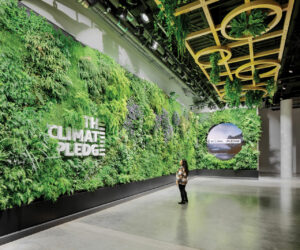 A photo of a person standing in front of the living green wall at Climate Pledge Arena. The wall is filled with hundreds of live green plants. The person wears a brown, white and black plaid shirt and black pants and shoes. Hanging from the ceiling is a yellow trellis with more plants inside.