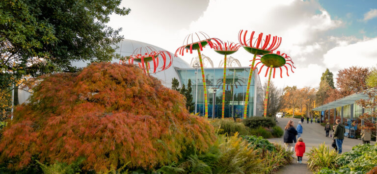 A garden scene featuring large red and green whimsical sculptures resembling flowers. People walk along a path amid lush foliage, including a tree with autumn-hued leaves. A glass structure is visible in the background under a partly cloudy sky.