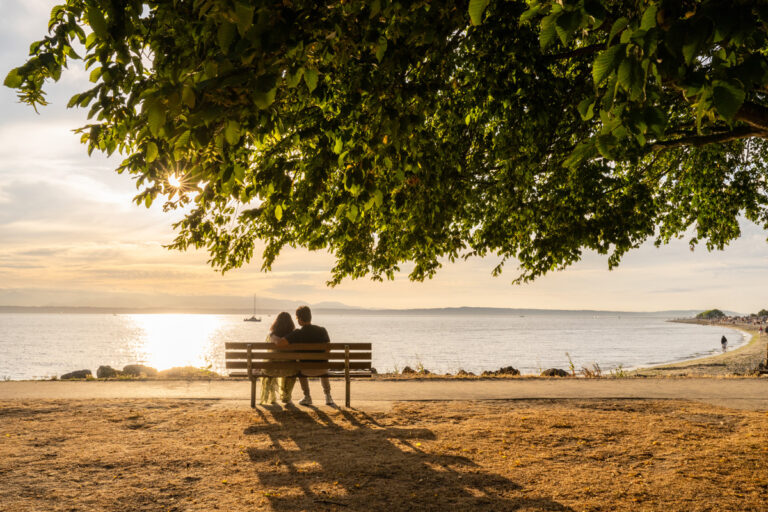 A couple sits on a bench under a large tree, gazing at the sun setting over a serene body of water. A sailboat is visible in the distance, and a person walks along the shoreline, creating a tranquil and romantic scene.