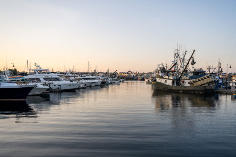 A calm marina at sunset with rows of docked yachts and fishing boats reflecting on the water; the sky is clear with soft golden light.