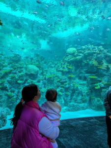 A woman in a pink vest holds a baby while they both look at fish swimming in a large aquarium filled with coral and rocks. Another person stands nearby, partially out of frame.