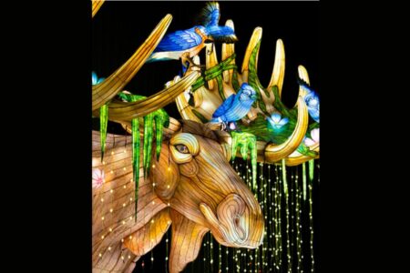 A colorful illuminated sculpture of a moose with large antlers decorated with blue birds and hanging green moss, set against a dark background. The sculpture glows with various shades of light.