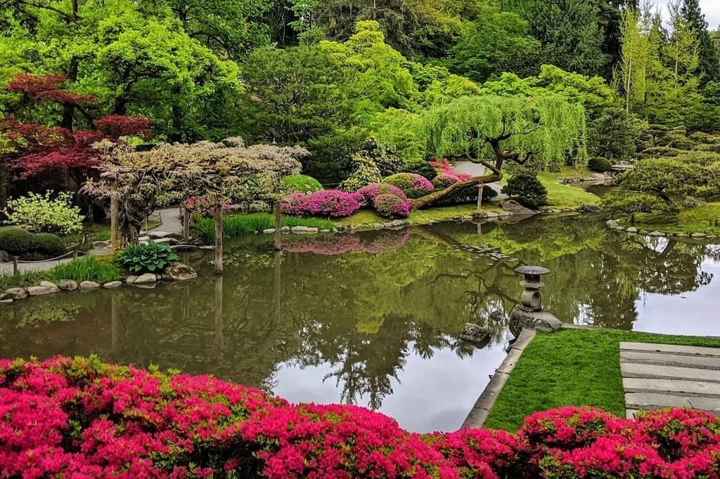 A tranquil Japanese garden features a pond reflecting lush green trees, flowering shrubs, manicured bushes, and vibrant pink azaleas, with stone paths and a small lantern by the water’s edge.