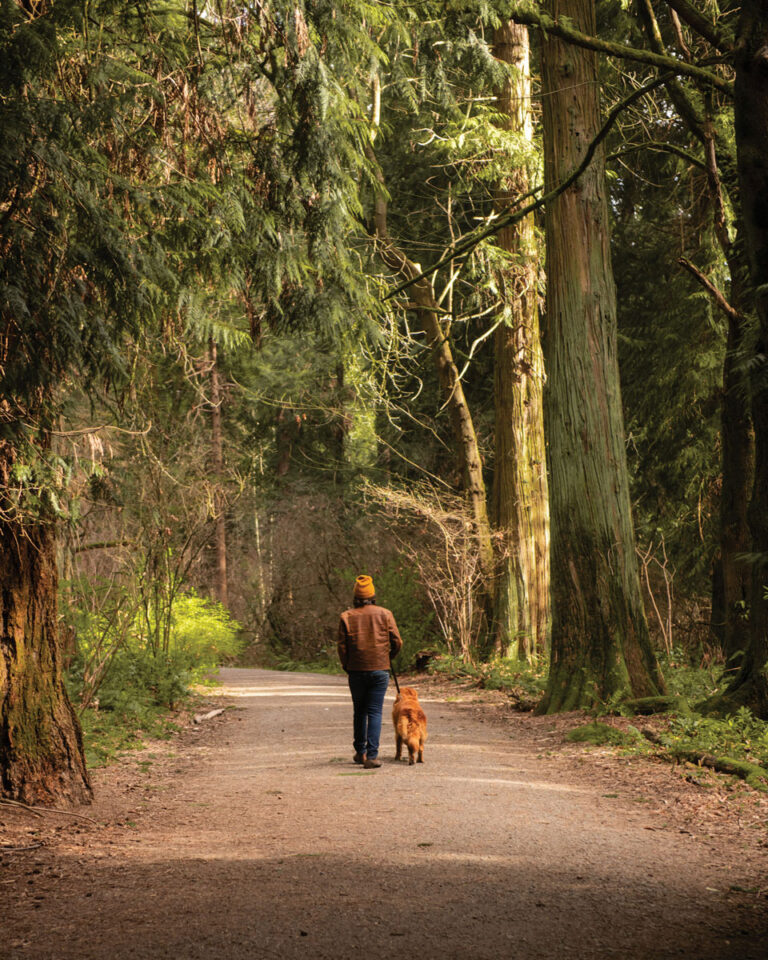 A person wearing a brown jacket and yellow beanie walks with a brown dog along a forest path surrounded by tall trees and greenery.