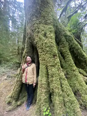 Quinault